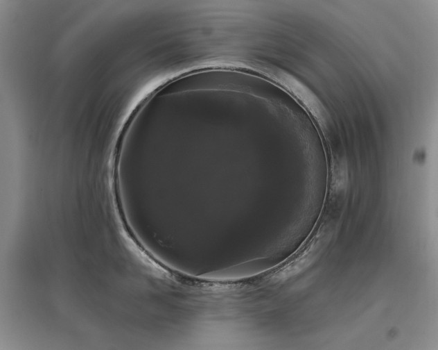 X0000097490958200802221412