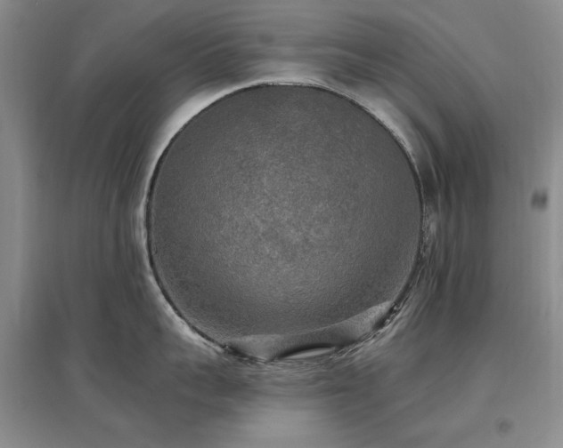 X0000097490959200802221412