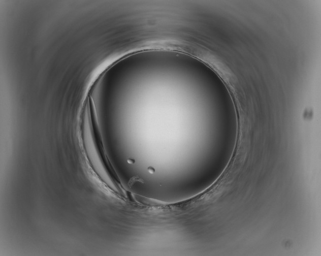 X0000097490960200802221412