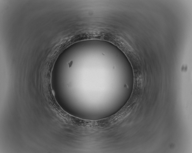 X0000097490961200802221412
