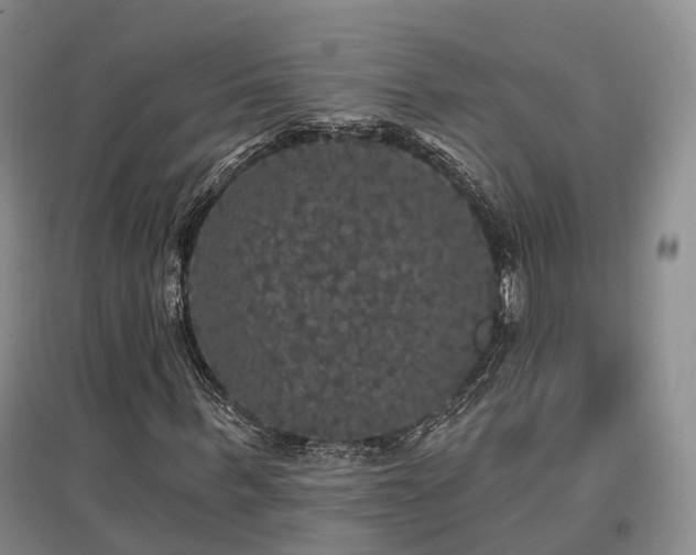 X0000097490963200802221412