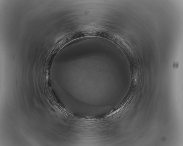 X0000097490964200802221412
