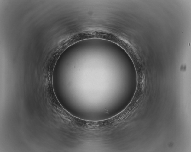 X0000097490965200802221412