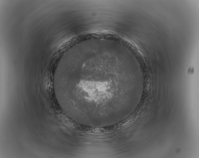 X0000097490966200802221412
