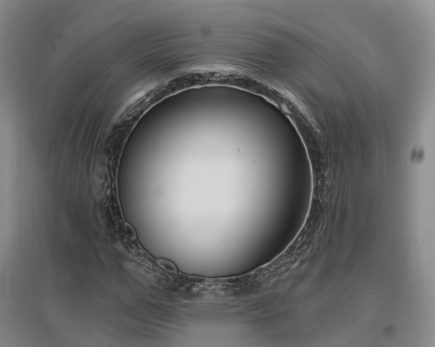 X0000097490967200802221411