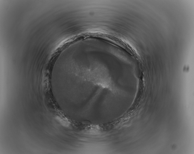 X0000097490968200802221411
