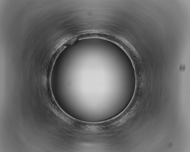 X0000097490969200802221411