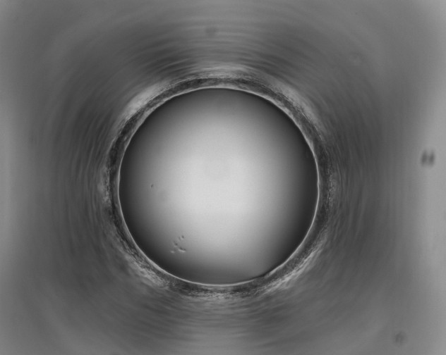 X0000097490970200802221411