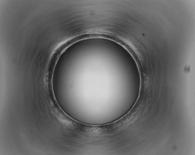 X0000097490971200802221411