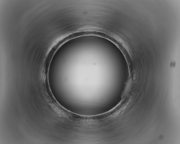 X0000097490973200802221411