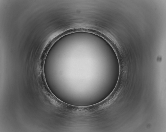 X0000097490974200802221411