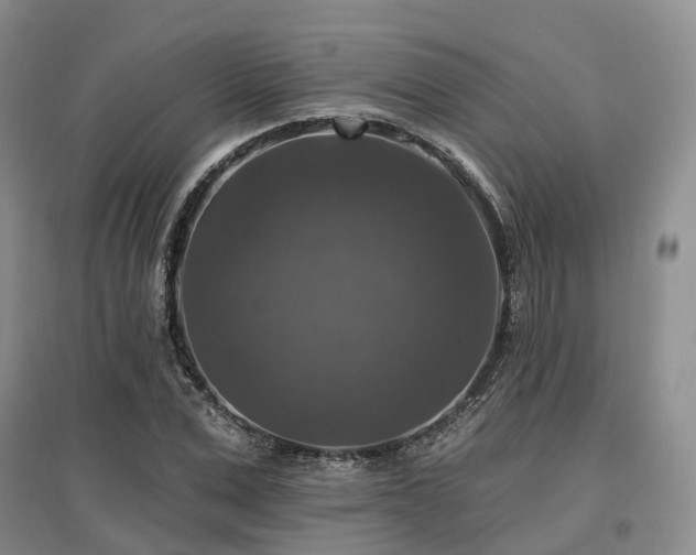 X0000097490975200802221411