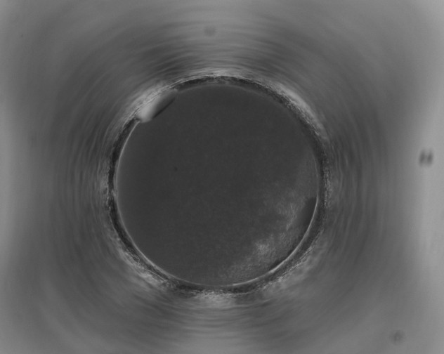 X0000097490977200802221411