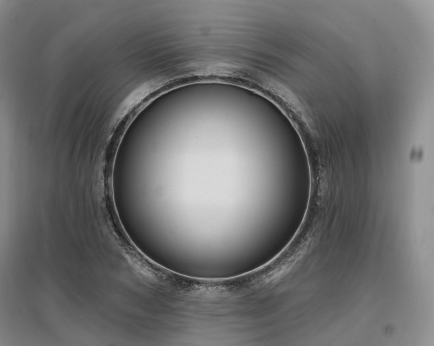 X0000097490978200802221411