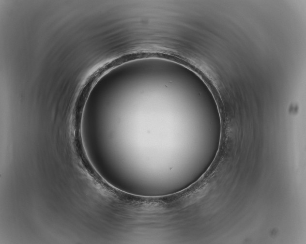 X0000097490979200802221411