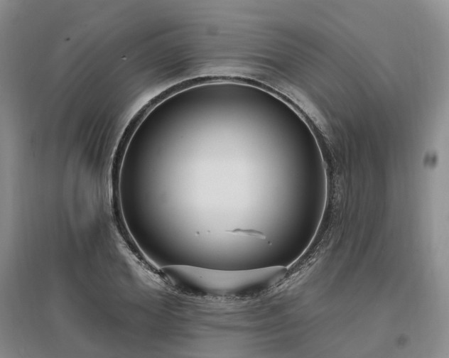 X0000097490980200802221411