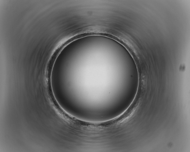 X0000097490981200802221411