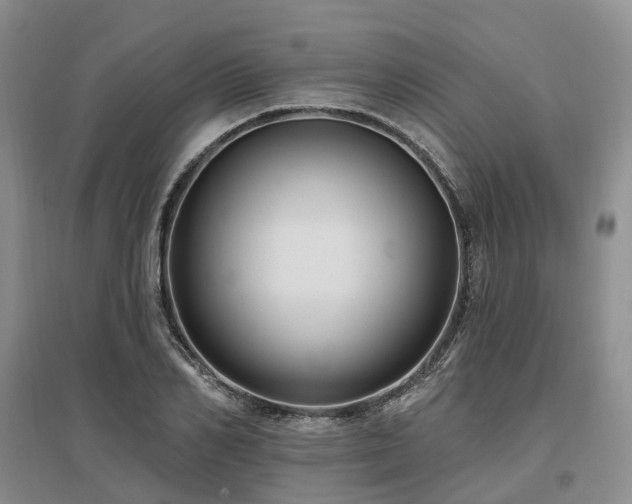 X0000097490982200802221411