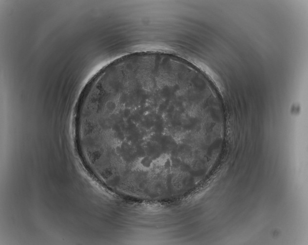 X0000097490983200802221411