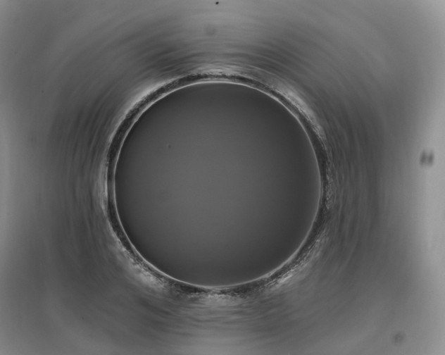 X0000097490984200802221411