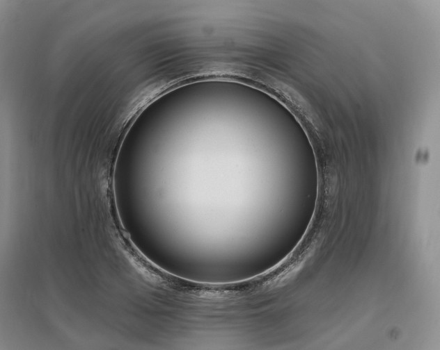 X0000097490985200802221411