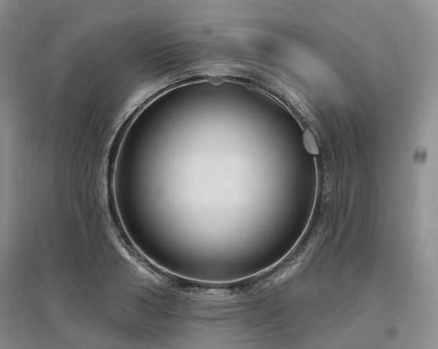 X0000097490986200802221411