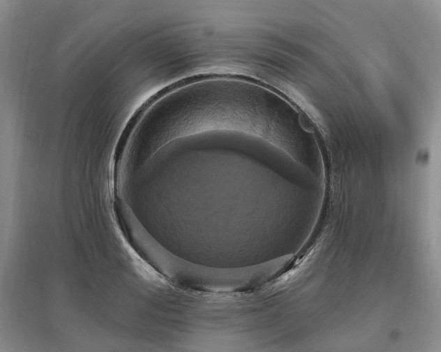 X0000097490988200802221411