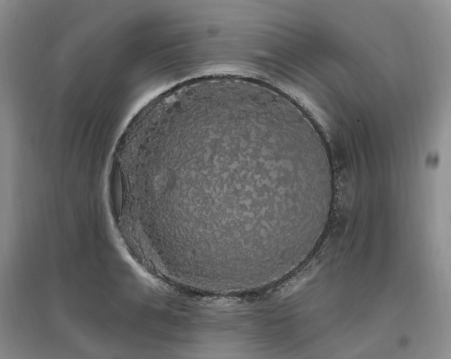 X0000097490991200802221411