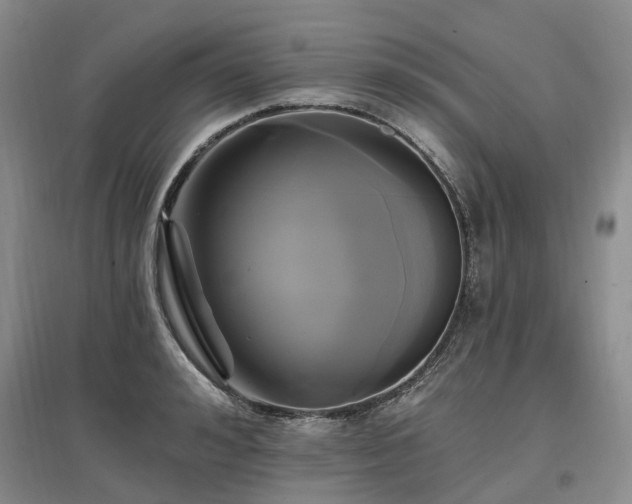 X0000097490992200802221411