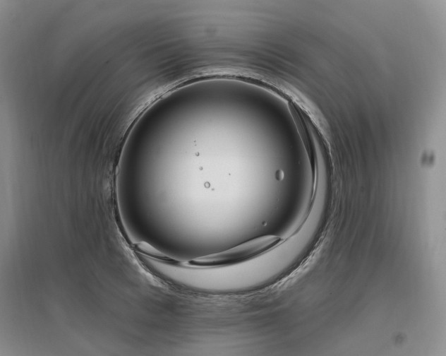 X0000097490993200802221411