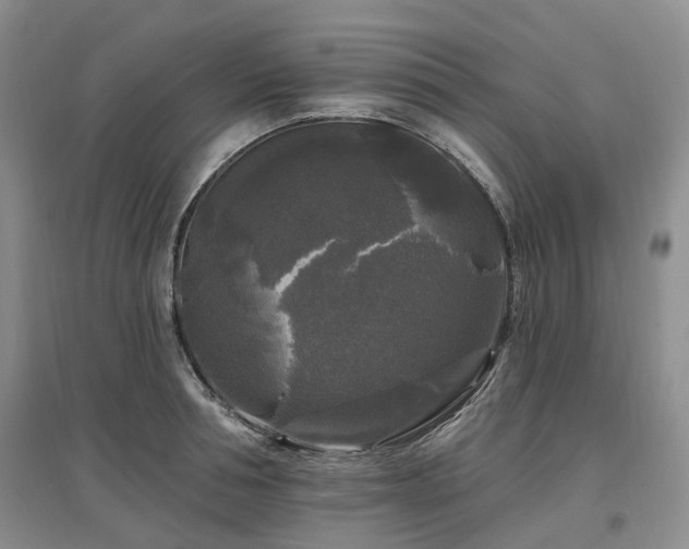 X0000097490994200802221411