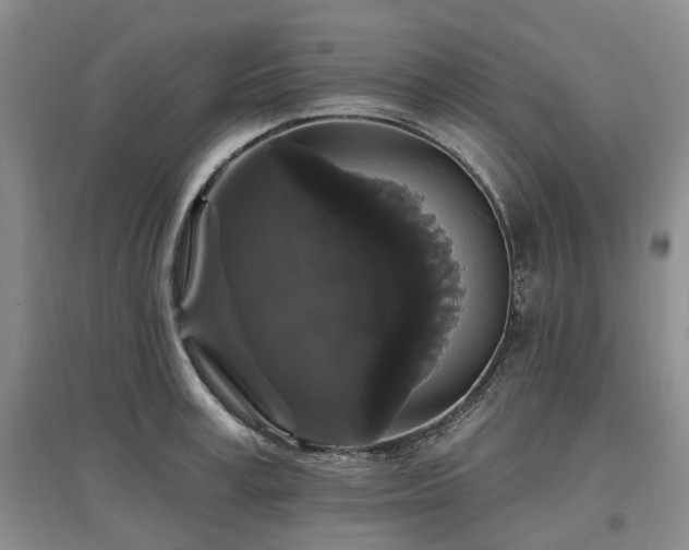 X0000097490995200802221411