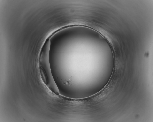 X0000097490996200802221411