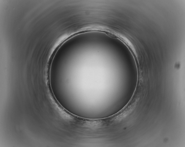 X0000097490997200802221411