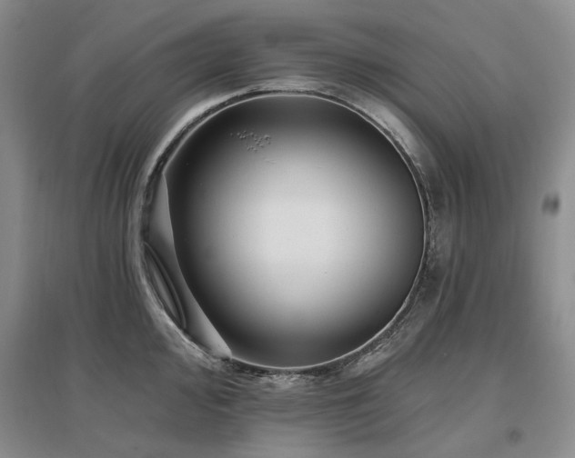 X0000097491000200802221411