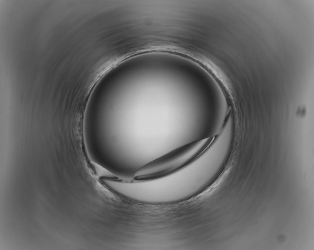 X0000097491001200802221411