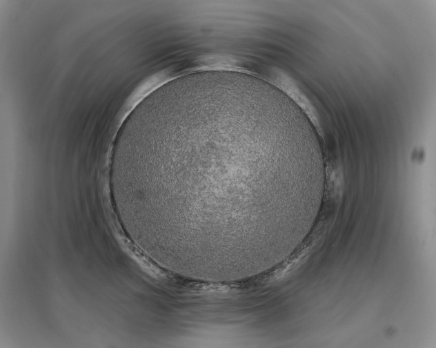 X0000097491002200802221411