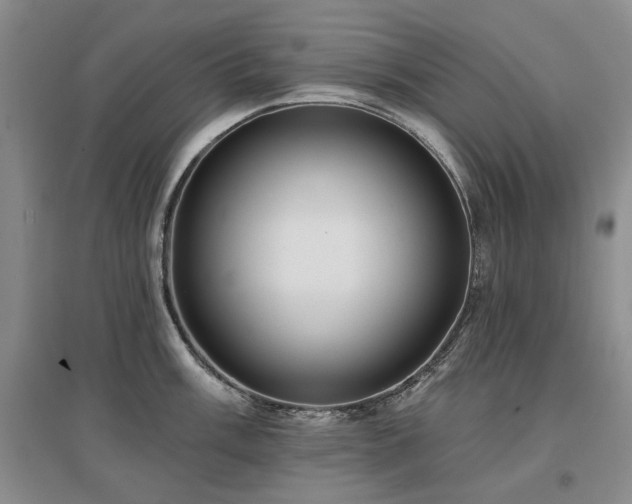 X0000097491003200802221411