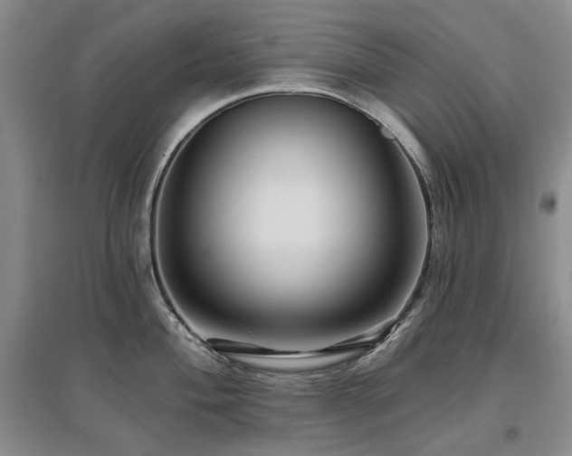 X0000097491004200802221411