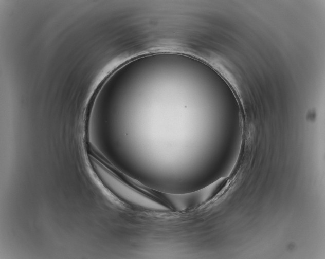 X0000097491005200802221411
