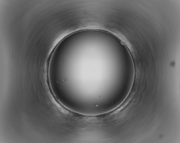 X0000097491006200802221411