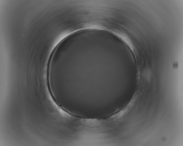 X0000097491007200802221411