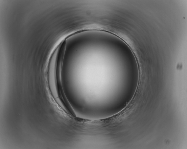 X0000097491008200802221411