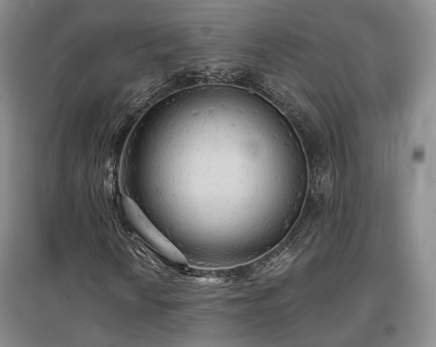 X0000097491010200802221410
