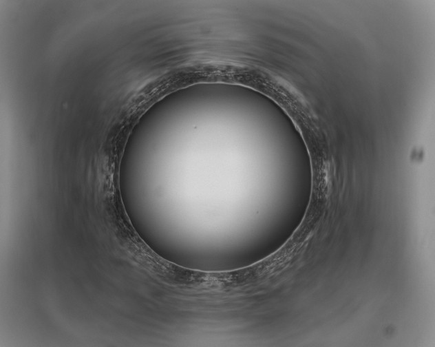 X0000097491013200802221410