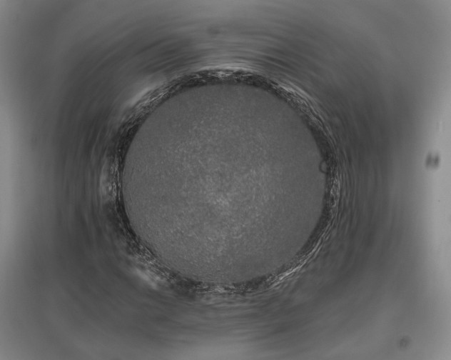 X0000097491014200802221410