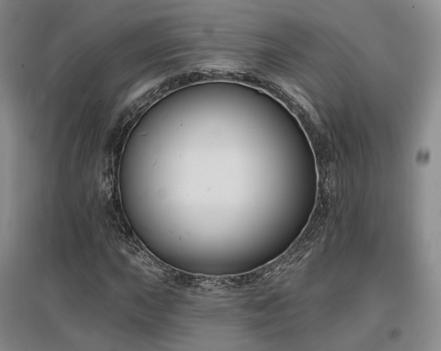 X0000097491015200802221410