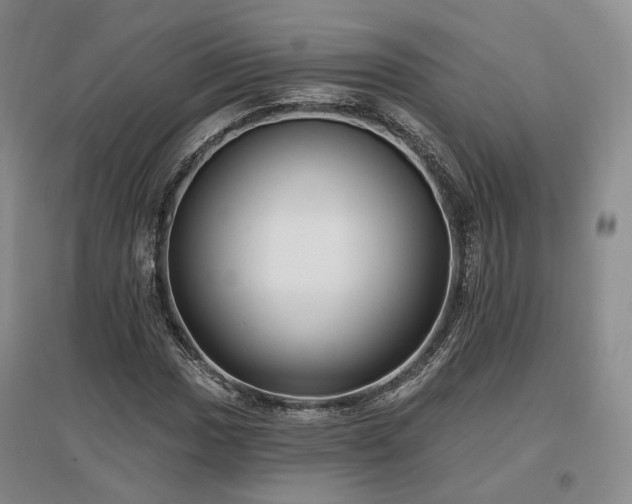 X0000097491017200802221410