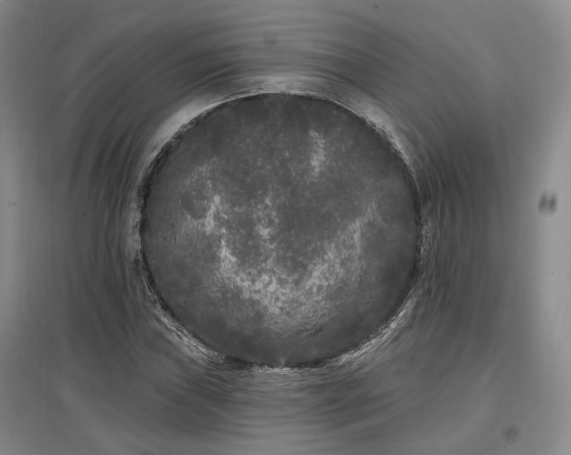 X0000097491019200802221410