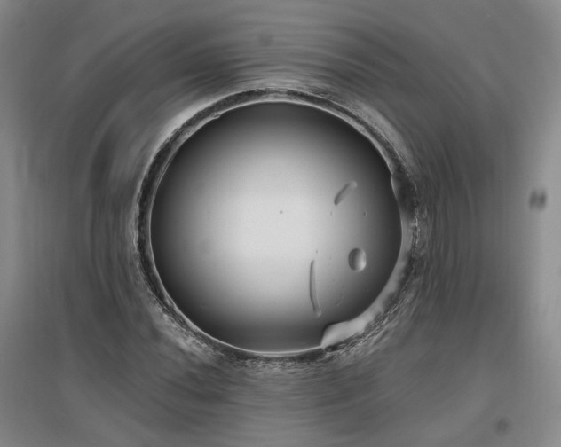 X0000097491020200802221410